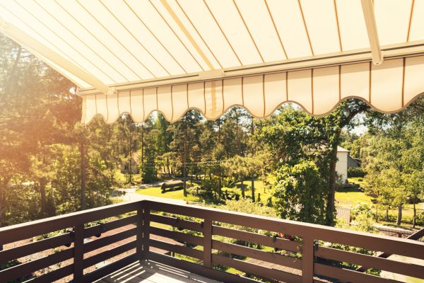 Patio Cover Repair in Albany