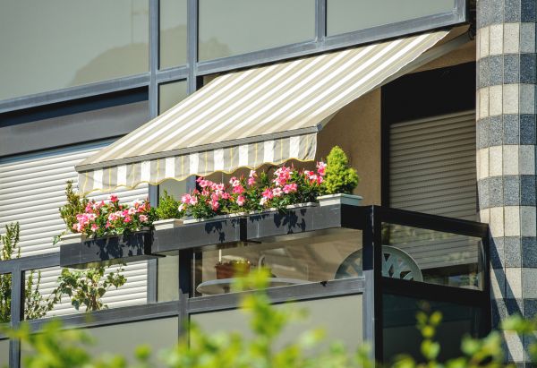 Terrace Awning Repair in Albany
